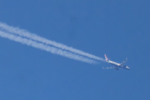 G-LCAF